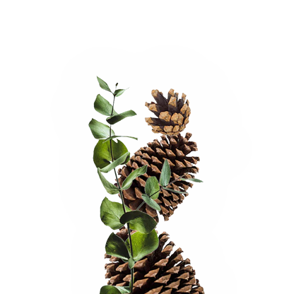 Startpakke